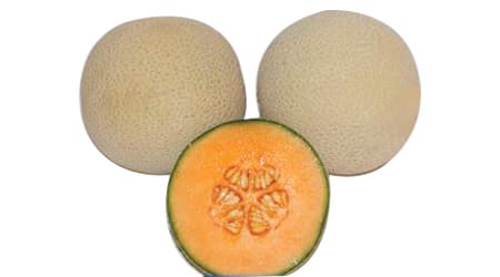Sobre de 1000 Semillas Melón Híbrido Super Lagunero F1