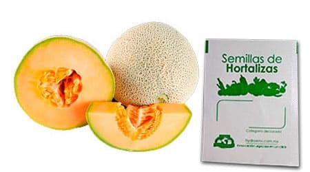 Gramo de Semilla de Melón Var Top Mark