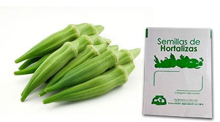 Gramo de Semilla de Okra Var Clemson Spinless