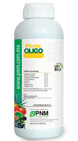 Nutriente Foliar Multielementos, Abono Foliar Completo, Suplemento Foliar de Micronutrientes, Fertilizante Multimineral Foliar, Estimulante Foliar Multimineral, Biofertilizante de Oligoelementos, Refuerzo Foliar de Microelementos, Fertilizante Foliar de Micronutrientes, Activador Foliar Completo, Nutriente Foliar Multinutrientes, Potenciador de Microelementos Foliar, Suplemento Vegetal Multielementos, Fertilizante Foliar con Micronutrientes, Concentrado Foliar de Micronutrientes, Fortificante Foliar Multielementos, Solución Foliar Multielementos