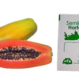Sobre de 8 Semillas de Papaya Red Maradol