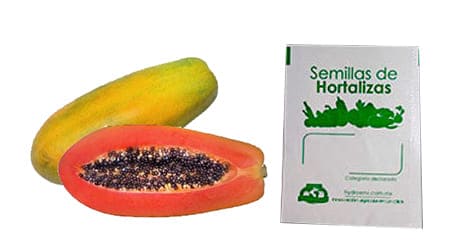 Sobre de 8 Semillas de Papaya Red Maradol