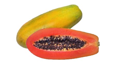 Sobre de 2500 Semillas de Papaya Red Maradol