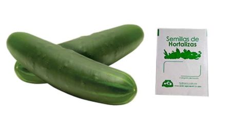 Gramo de Semilla de Pepino Var Poinsett 76