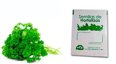 Gramo de Semilla de Perejil Chino