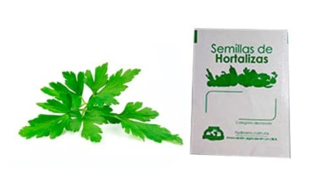 Gramo de Semilla de Perejil Var Plano