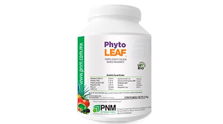 Abono NPK Sólido de Aplicación Foliar de Phyto Leaf de 1 Kilogramo