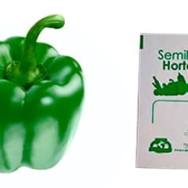 Gramo de Semilla de Pimiento Morrón Var California Wonder