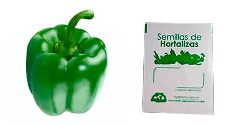 Gramo de Semilla de Pimiento Morrón Var California Wonder