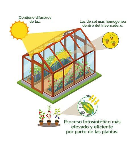 transmisión de luz de un hule para vivero con difusor
