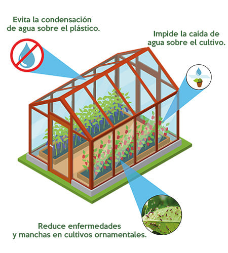 hule para invernadero resistente a agroquimicos evaporados 