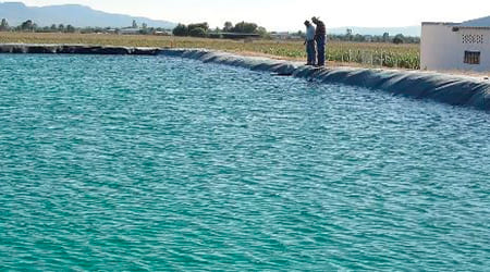 Geomembrana membrana acuatica para estanque hule pelicula para recubrimiento de ollas de agua alberca reservorios y ollas agricolas hule negro para estanque para peces plastico para estanques y almacenar almacenamiento de agua membrana presas de agua por metro lineal m2