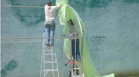 instalación de plastico de invernadero en techo como cubierta en color verde clorofila