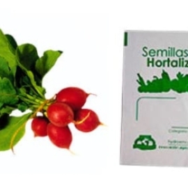 Gramo de Semilla de Rábano Var Champion