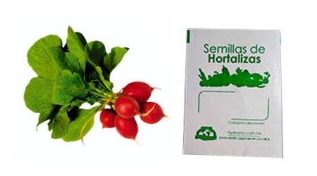 Gramo de Semilla de Rábano Var Champion