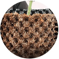 Cultivador aéreo de Cepellon Maceta Hidropónica Air Grower de 6 Litros