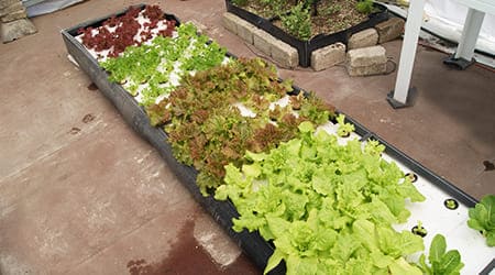 cama de cultivo para cultivo en raiz flotante bancal bancales camas de cultivo floating contendor hidropónico Cama de cultivo o Contenedor Hidropónico de 4 metros de largo