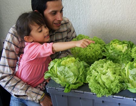 Sistema hidropónico, cultivo doméstico, contenedor flotante, huerto urbano, jardín hidropónico, cultivo en casa, sistema de raíz flotante, espacio de cultivo, paquete de cultivo, kit de hortalizas, huerto en casa, cultivo de interior, jardín de apartamento, cultivo eficiente, sistema automatizado, cultivo ecológico.