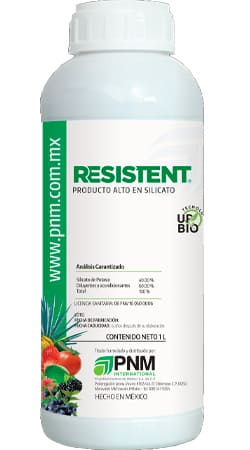 Antifúngico, Fungicida, Antimicótico, Funguicida, Agente antifúngico, Inhibidor de hongos, Desinfectante de hongos, Fungistático, Bifungicida, Fungitóxico, Antihongos