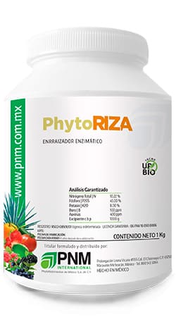 Estimulador de raíces, Activador de raíces, Promotor de enraizamiento, Potenciador de raíces, Inductor de raíces, Fertilizante de enraizamiento, Bioestimulante de raíces, Agente enraizante, Fortificador de raíces, Raizalizador, Acelerador de enraizamiento, Nutriente de raíces, Incrementador de raíces, Estimulante radicular, Potenciador de enraizamiento, Bioactivador de raíces