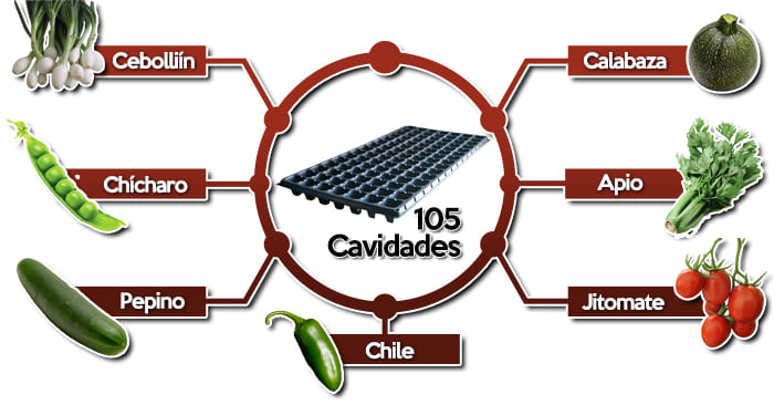 Usos de charola o almacigo de 105 cavidades