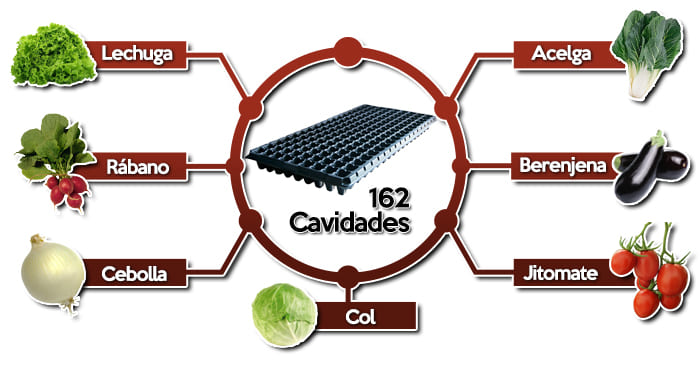 Usos semillero de 162 cavidades 