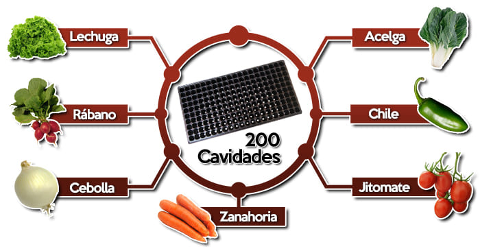 Usos charola de germinacion 200 cavidades