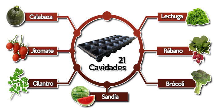 Usos Semillero o Charola de germinación de 21 Cav