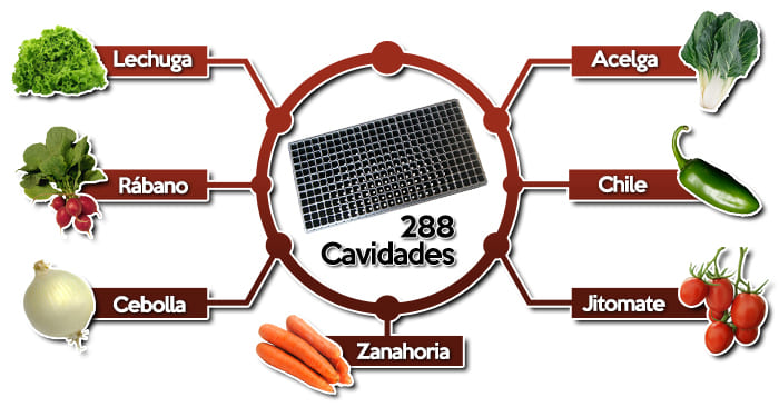 Usos charola de 288 cavidades 
