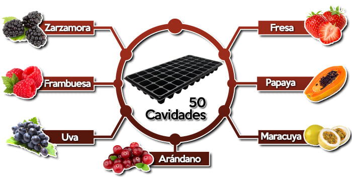 Variedades para uso de charola de 50 cav 