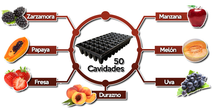 Usos Semillero o Charola de germinación Forestal de 50 Cavidades