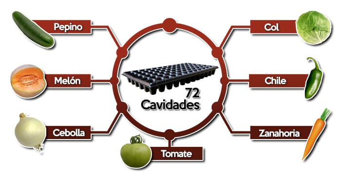 Uso Semillero o Charola de germinación de 72 Cavidades