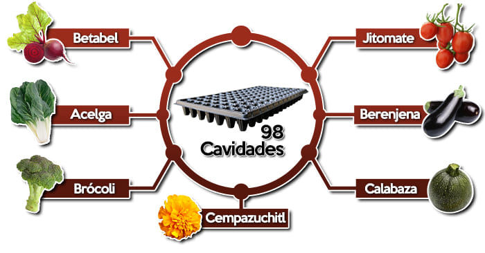 Usos Semillero o Charola de germinación de 98 Cavidades
