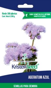 Ageratum Azul, flores azuladas, macizos de flores, planta herbácea, plantas decorativas