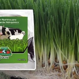 Solución Nutritiva para Forraje Verde Hidropónico (1.5 kg)