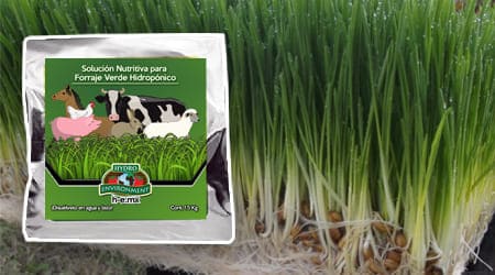 Solución Nutritiva para Forraje Verde Hidropónico (1.5 kg)