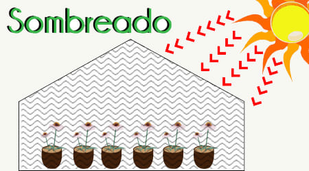 plastico para invernadero difuminando la iluminación 