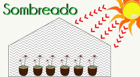 plastico para invernadero difuminando la iluminación 