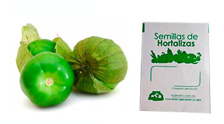 Gramo de Semilla de Tomate Verde Var Puebla