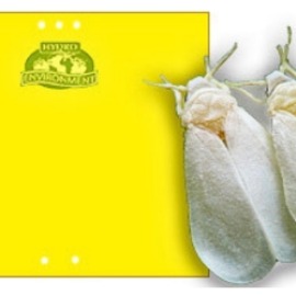 Bolsa de 20 Trampas Cromatica Amarilla Pegajosa (25×20 cm)