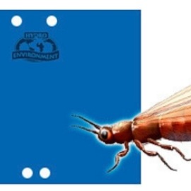 Trampa Cromática Azul Pegajosa  (25 x 20 cm)