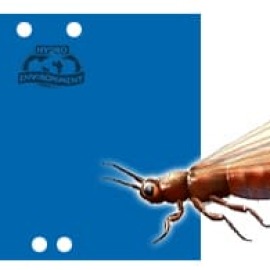 Bolsa de 20 Trampas Cromatica Azul Pegajosa (25×20 cm)