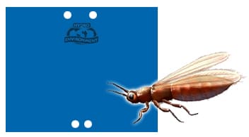 Bolsa de 20 Trampas Cromatica Azul Pegajosa (25×20 cm)