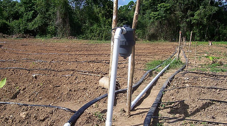 Errores en el Riego: Los más Comunes y cómo Solucionarlos