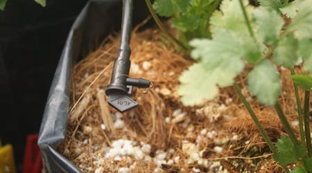 Emisor de agua, distribuidor de caudal, gotero ajustable, regulador de flujo, dispensador de riego, dispositivo de irrigación, gotero de precisión, controlador de goteo, sistema de riego, gotero eficiente, microdifusor, gotero de alta capacidad, accesorio de riego, sistema de distribución de agua, gotero para cultivos, riego directo, gotero de baja presión, emisor de goteo, controlador de caudal, Gotero Tipo Bandera de 4 Litros por Hora Color Negro