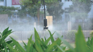 Riego por nebulización en plantas ornamentales 