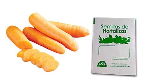 Gramo de Semilla de Zanahoria Var Nantes Star