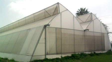 Ventanas con Mallas Antiafidos