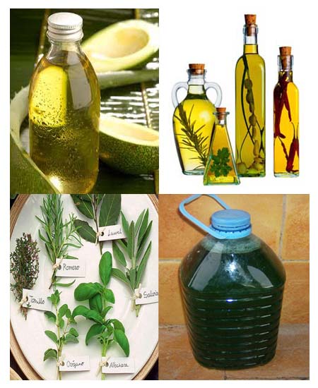 Extractos Aceites Purines