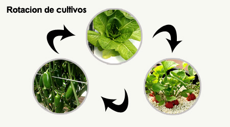 Rotación de Cultivos